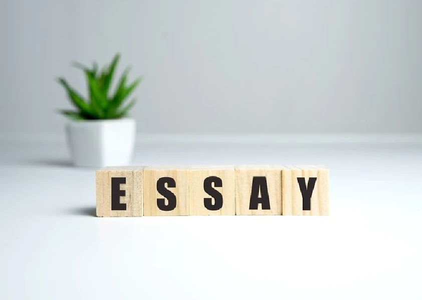 best college essay ever